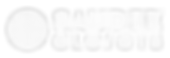 Untitled design (10).png