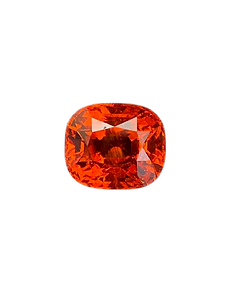 S__34627609-removebg-preview_edited.png