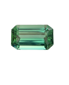 S__34627607-removebg-preview_edited.png