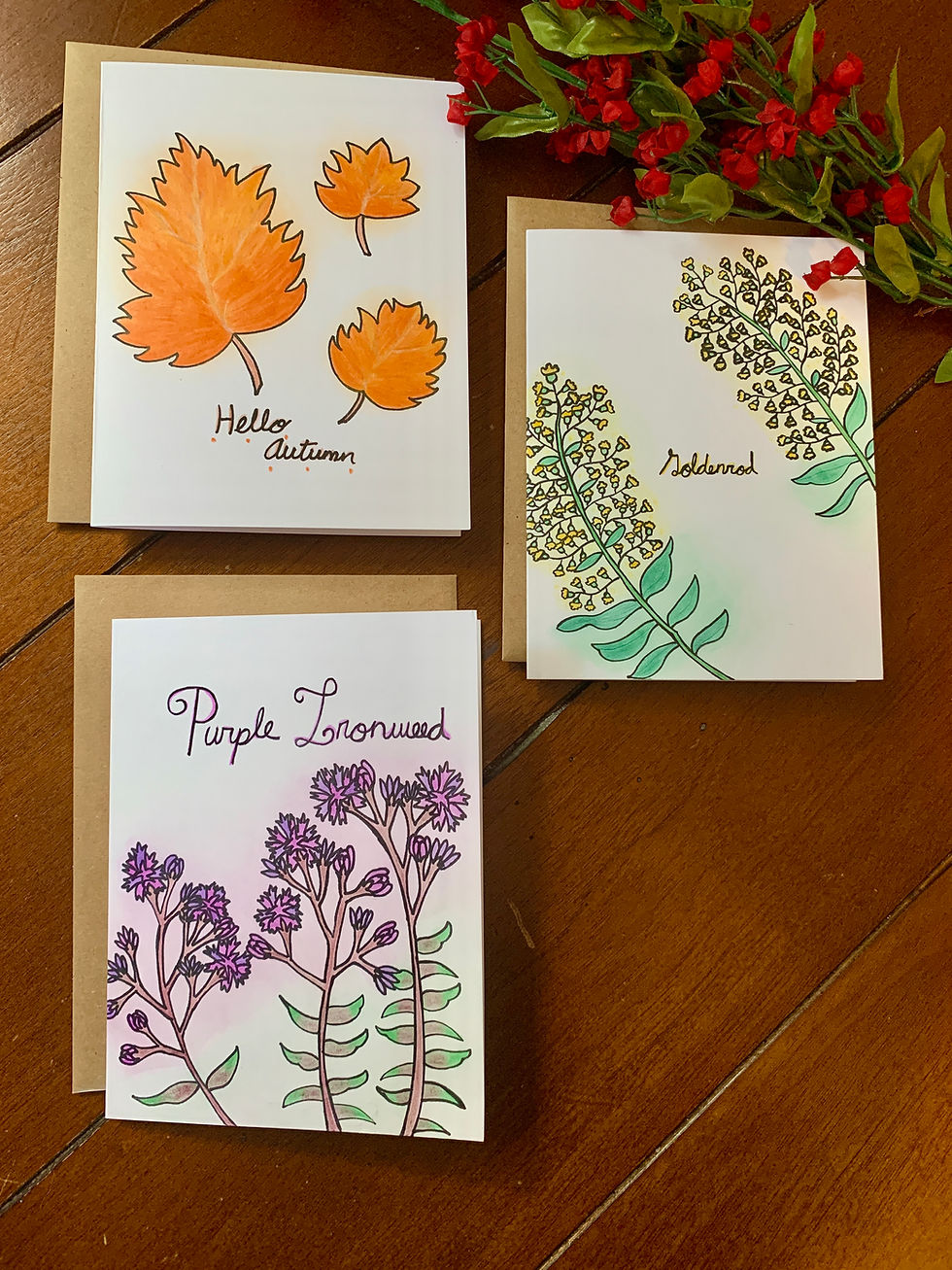 Thumbnail: Variety Box Set