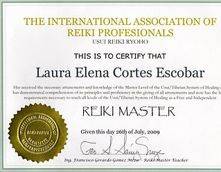 Diploma de Reiki Master015.jpg