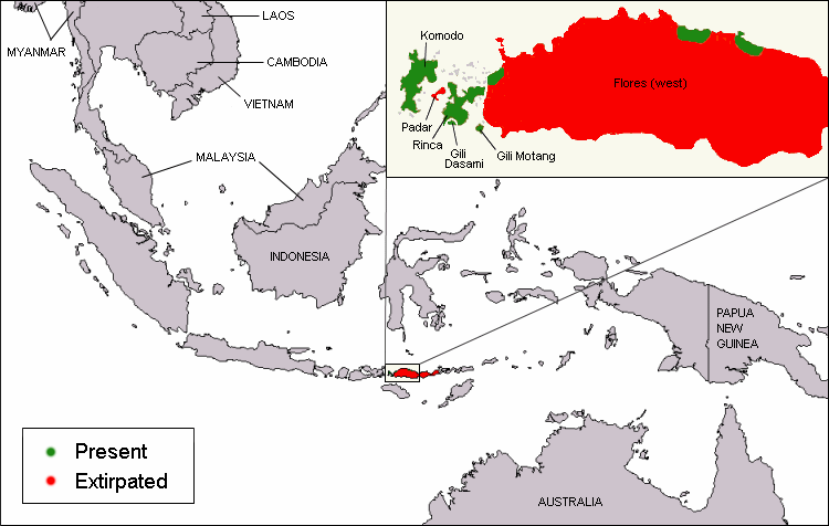 Komodo dragon distribution