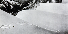 alleged Yeti footprints