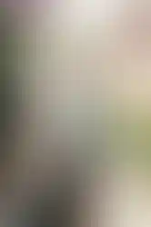 La Vecina