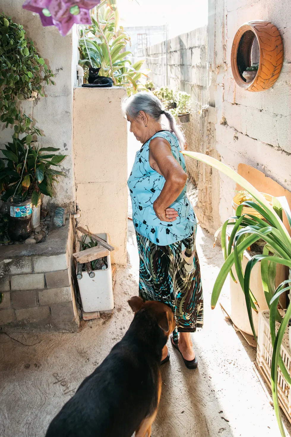 La Vecina