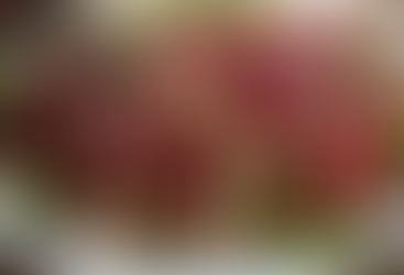 ROASTED BEET SALAD WITH FRESH GOAT CHEESE & TOASTED PECANS