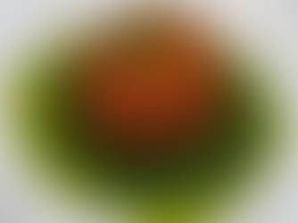 ARANCINI FRIED IN UP EXTRA VIRGIN OLIVE OIL