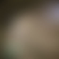 舞拾瞬间 / Dancing Lapses