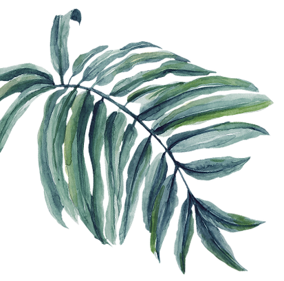 Leaf