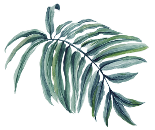feuille