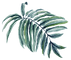 feuille              