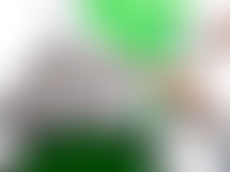猫のお風呂、本当に必要?