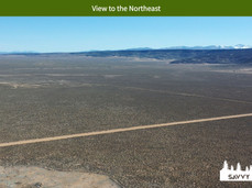 View to the Northeast.jpeg