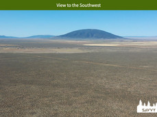 View to the Southwest.jpeg