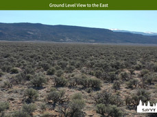 Ground Level View to the East.jpeg