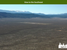 View to the Southeast.jpeg