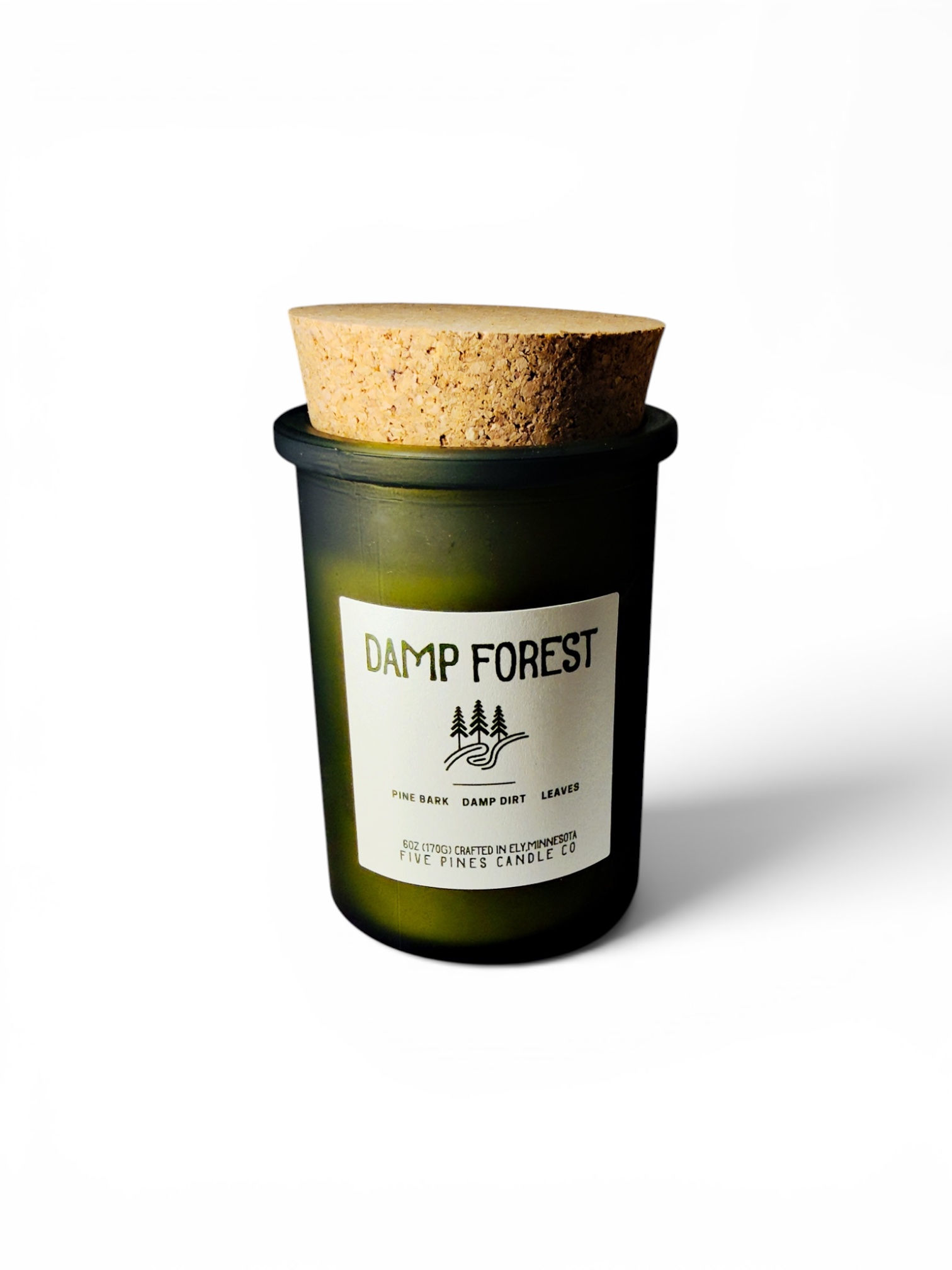 Damp Forest