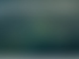 Sivuvirtapaneelikeskustelun materiaalit 