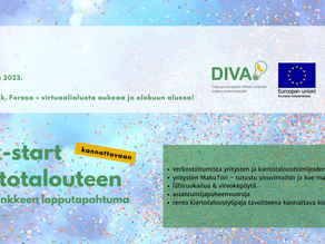 DIVA-hankkeen päätös häämöttää!