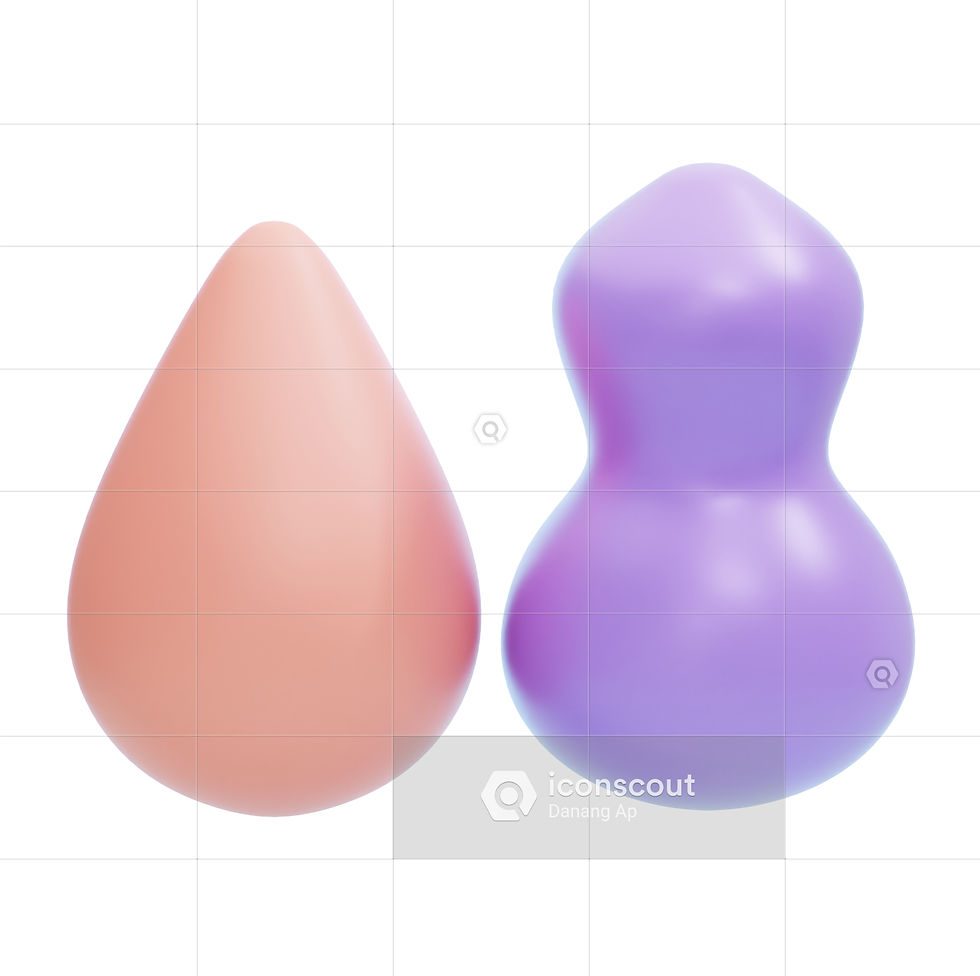 MAKE UP SPONGE_edited.jpg