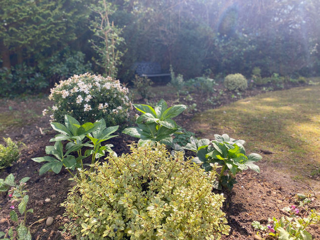 Mixed border planting design in a shady corner of the garden.