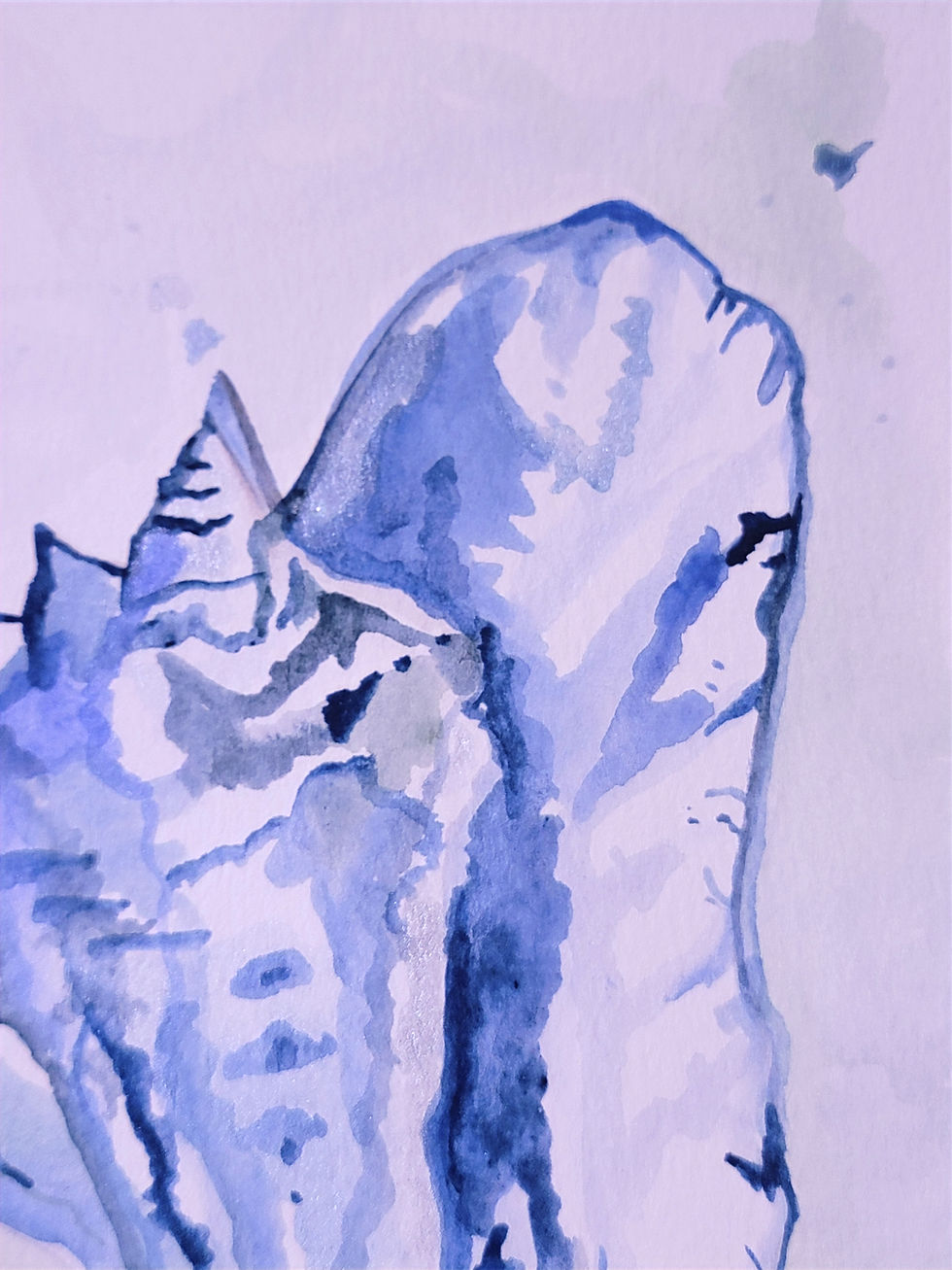 Thumbnail: Life at Sea: Seashell