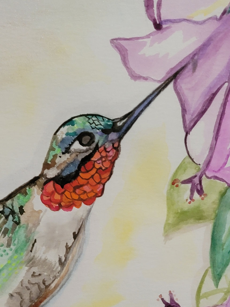 Thumbnail: Humming-bird & Hibiscus Watercolor