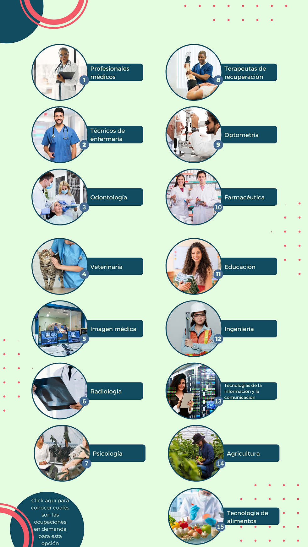 Visa Graduate y las ocupaciones