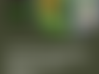 Day 16: Farm-to-Table Recipes: Cooking with Gable's Garden Produce