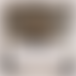 Day 13: The Gable Chronicles - Behind-the-Scenes of Off-Grid Living