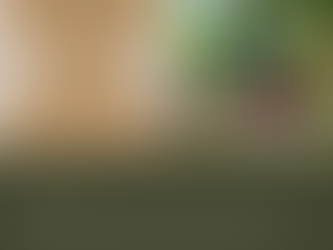 Day 20: Mindful Living: Finding Balance in the Off-Grid Lifestyle