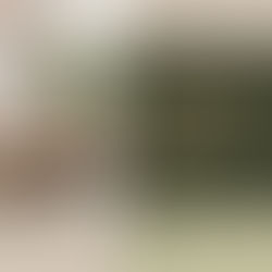 Day 3: Unveiling Nature's Elegance - Meet Our Luxurious Glamping Tents at The Gable