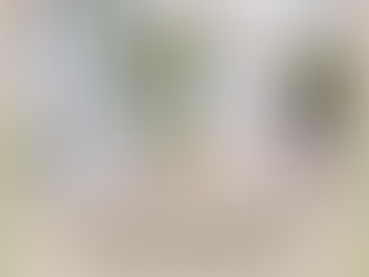 Day 10: Love in the Off-Grid Wilderness - Celebrating Weddings and Special Moments at The Gable