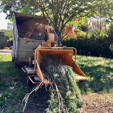 Broyage de branches Vaucluse Gard Bouches-du-Rhone Var