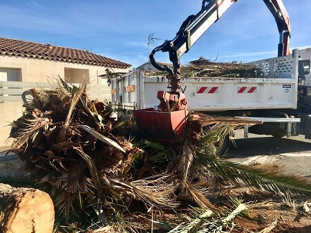 Broyat d'élagage en paillage : quelle épaisseur, quels massifs, quelles limites