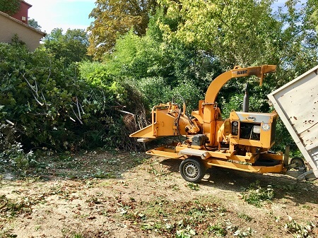 Broyage de branches : quel matériel selon le diamètre des végétaux