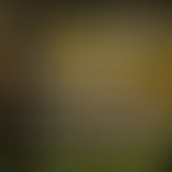 Remember His Word Will Bring Life