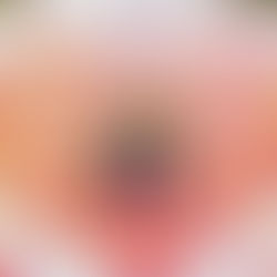 「第49回一宮菊花大会」にお伺いしました。