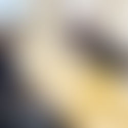 若山しんじでございます。