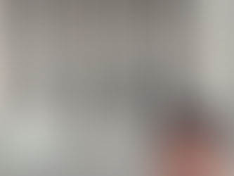 第219回臨時国会が始まりました。