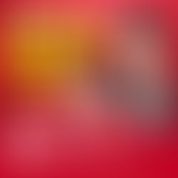 2月1日（日）高市早苗内閣総理大臣、来たる！