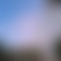 「138タワーパーク、サマーフェスタ、盆踊り大会」