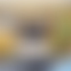 ビンザグル駐日サウジアラビア王国特命全権大使を表敬