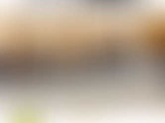 内閣府大臣政務官として出席