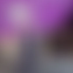 【水法 芝馬祭】