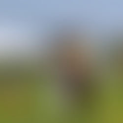 「水辺で乾杯@北方」にお邪魔しました！