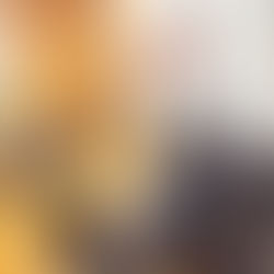 予算委員会分科会に向けて