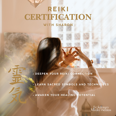 Reiki Certification Pittsburgh at Evolutionary Minded Wellness