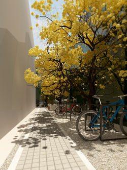 Estacionamiento de bicicletas