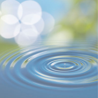 Salon & Circle (6)_edited.jpg